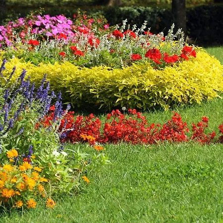 カーサ ローマニョージ サルソマッジョーレ・テルメ